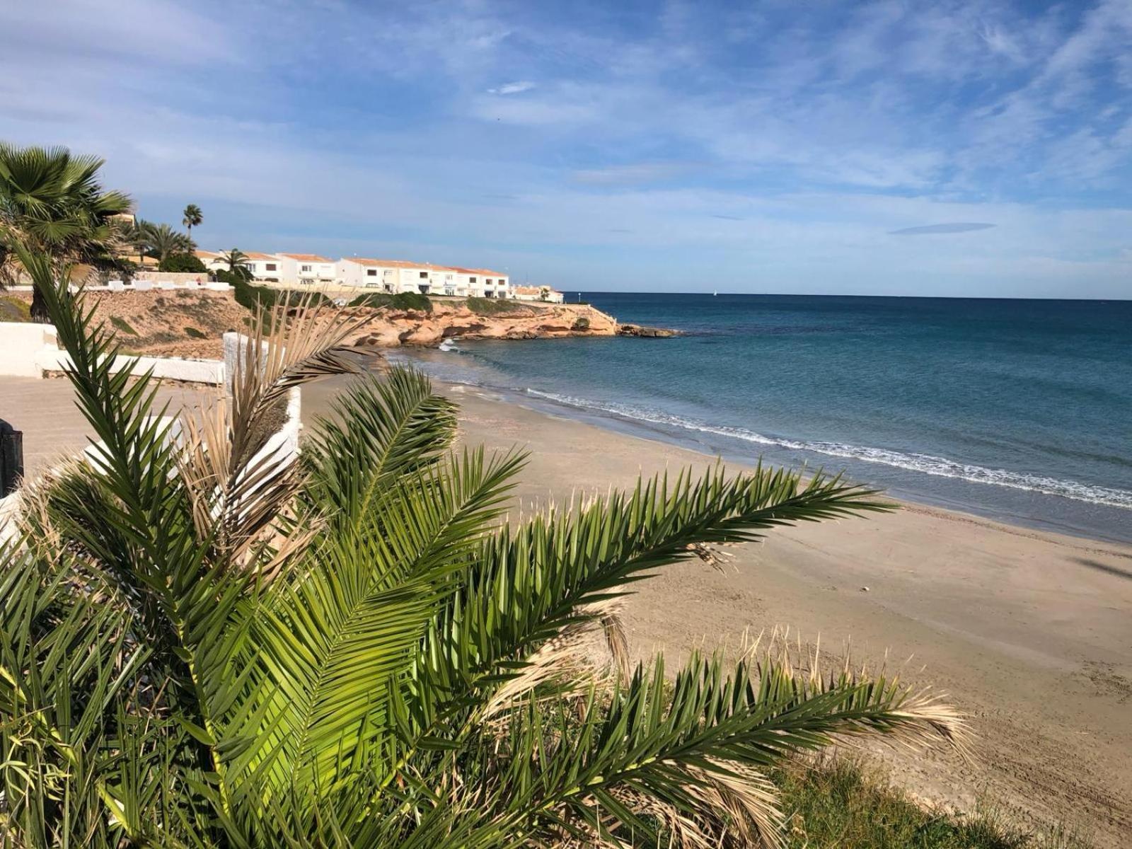 Palmview Poolside Heaven In Turquesa Del Mar Lägenhet Orihuela Exteriör bild